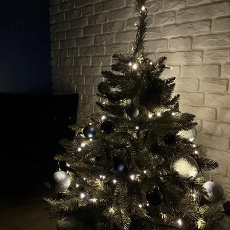 Witold's With A Rooftop - 500 Steps To Rynek Wroapart Wrocław