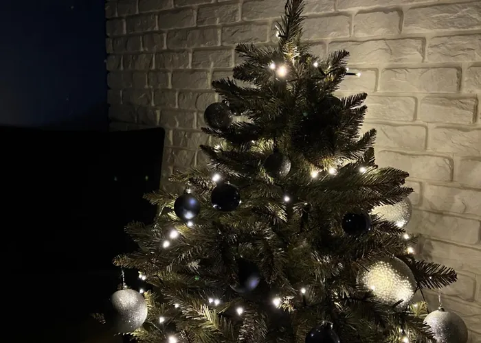 Witold's With A Rooftop - 500 Steps To Rynek Wroapart Вроцлав